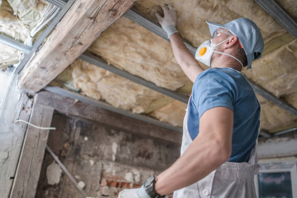 Best Insulation Installation Services in Glenarden, MD